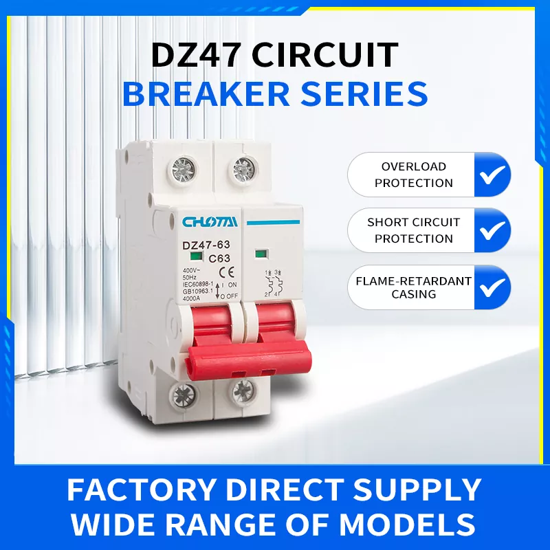 Disyuntor miniatura 2P 63A DZ47